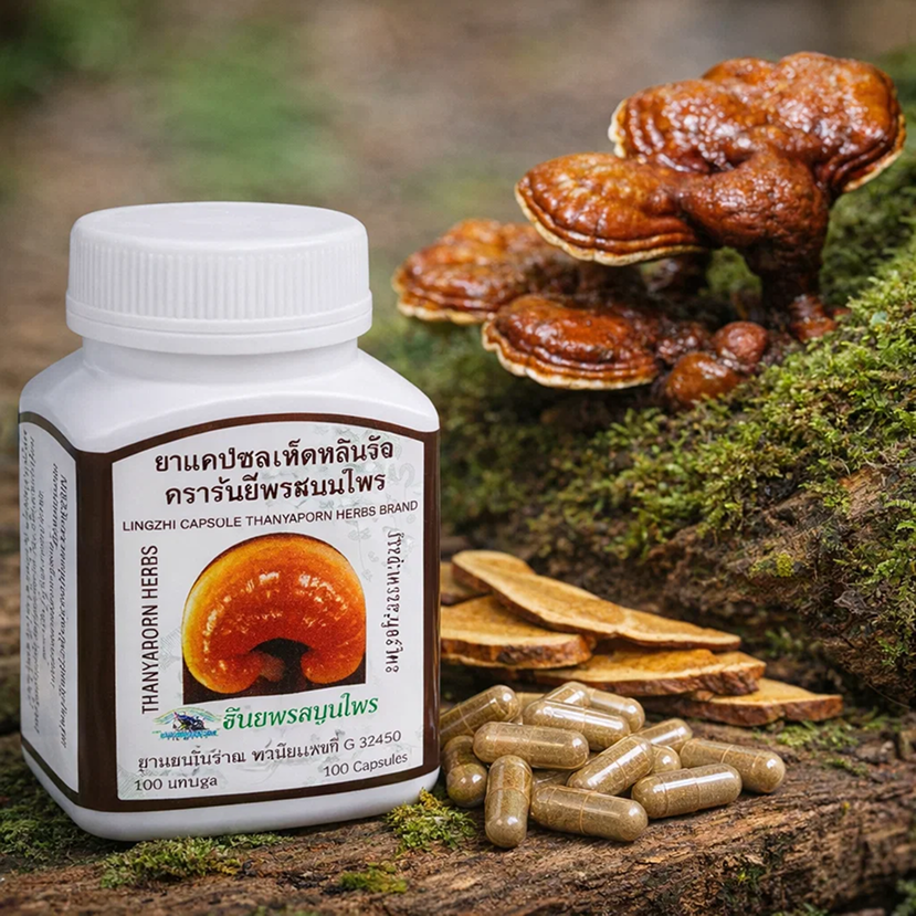 Гриб бессмертия Линчжи: почему в тайской медицине его ценят выше женьшеня?