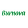 BURNOVA GEL PLUS