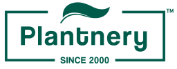PLANTNERY