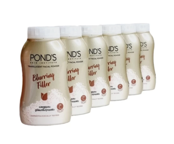 Прозрачная пудра для лица с эффектом размытия от POND`S  Blurring Filler Translucent Powder (упаковка 6 шт*45 гр)