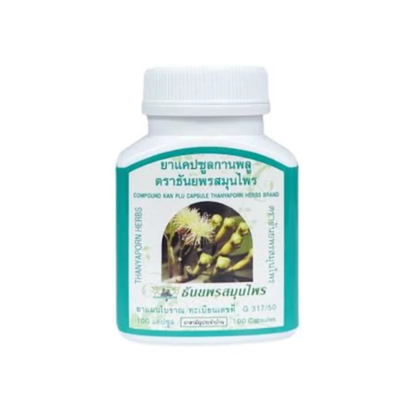 Гвоздика Thanyaporn натуральная добавка для пищеварения и иммунитета 100 капсул