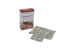 Кордицепс-плюс с женьшенем и линчжи для поддержания здоровья от Herbal One Cordyceps Plus 30 Capsules