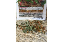 Острая приправа для традиционного тайского блюда Пад Капао от Mae Kaan, Pad Kapao Spices, 30 гр