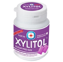 Жевательная резинка без сахара с ксилитом со вкусом черники Lotte Xylitol gum 52.2 гр