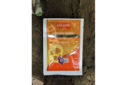 Маска для окрашенных волос с экстрактом семян подсолнечника от Lolane Natura, Hair Treatment For Color Care Sunflower, 10 гр