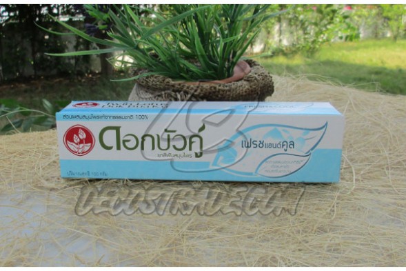 Растительная зубная паста  &amp;quot;Свежесть&amp;quot;от Twin Lotus, Fresh &amp;amp; Cool Herbal Toothpaste, 100 гр