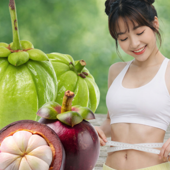 Гарциния Камбоджийская